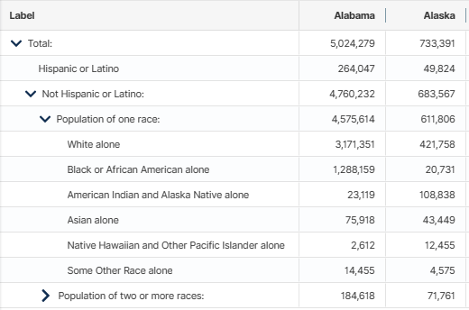 Census Table P2 Excerpt